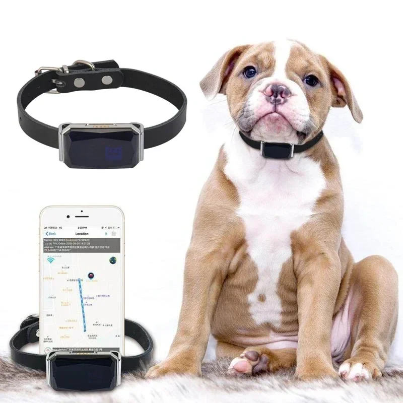 Traceur GPS Chien Chasse